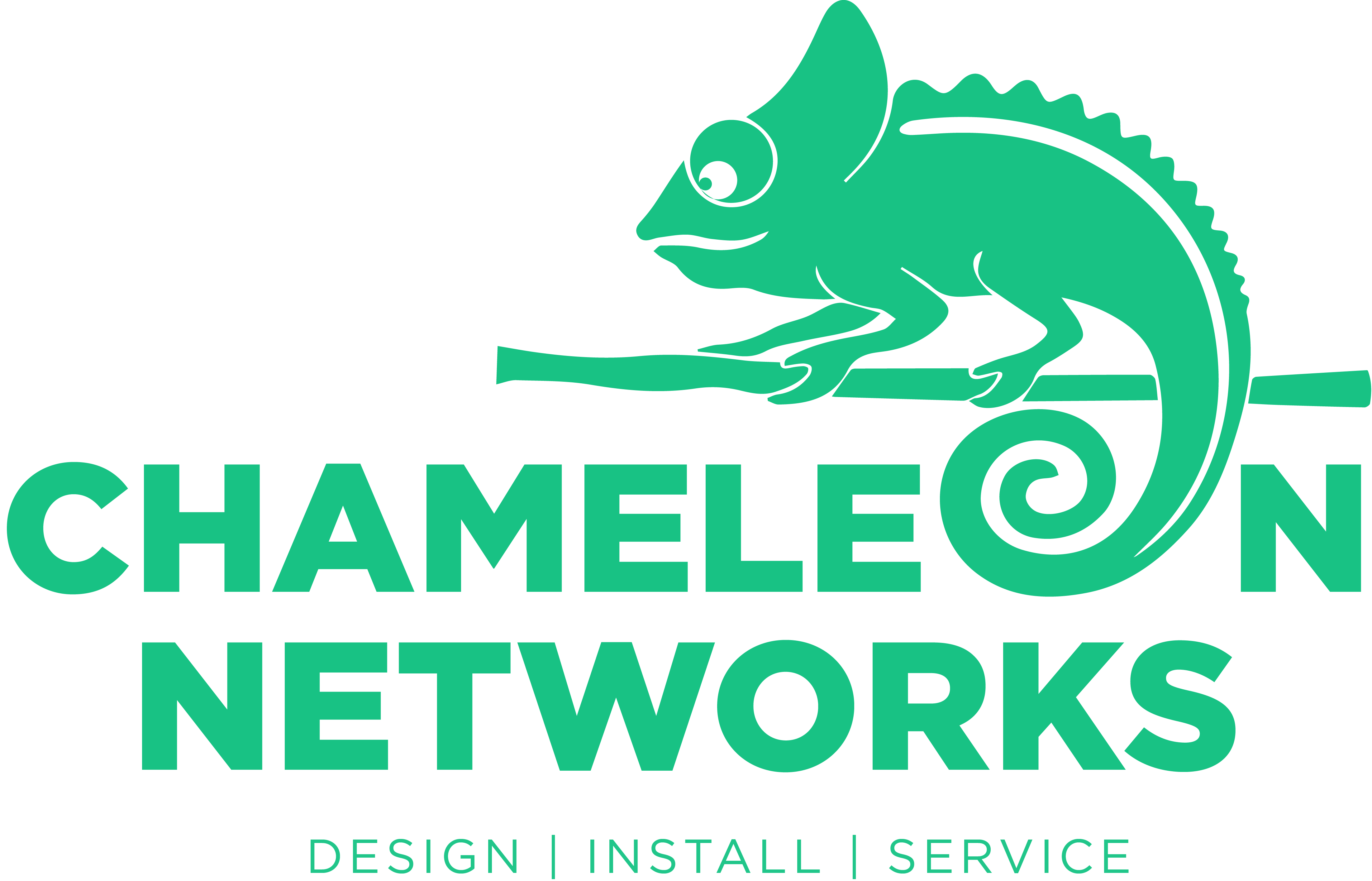 Chameleon Networks